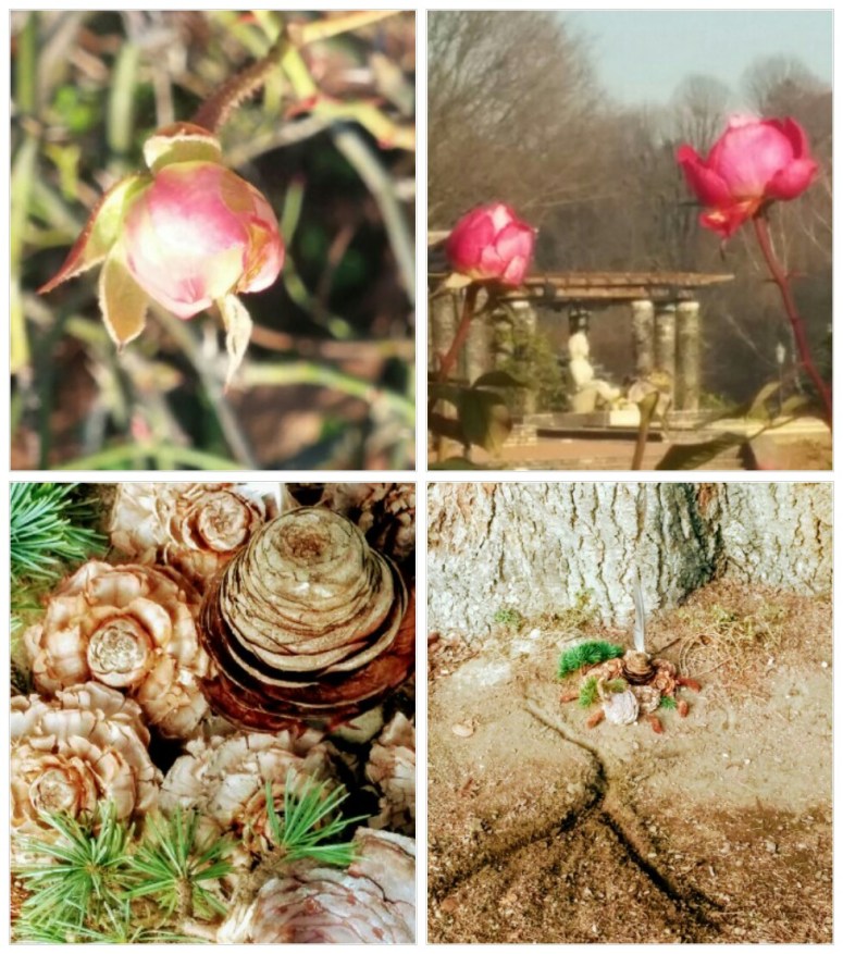 haiku-bouquetdefleurs-GabrielleMiaeKa.jpg